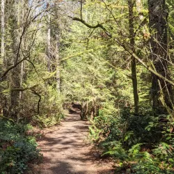 Gazzam Lake Nature Preserve - Bainbridge Island