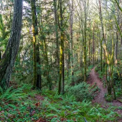 Gazzam Lake Nature Preserve - Bainbridge Island