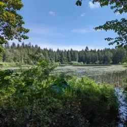 Gazzam Lake Nature Preserve - Bainbridge Island