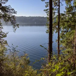 Gazzam Lake Nature Preserve - Bainbridge Island