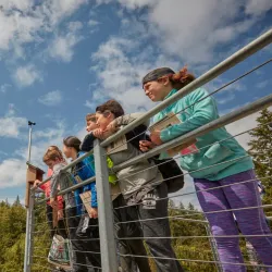 IslandWood - Bainbridge Island