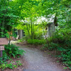 IslandWood - Bainbridge Island