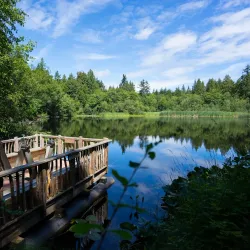 IslandWood - Bainbridge Island