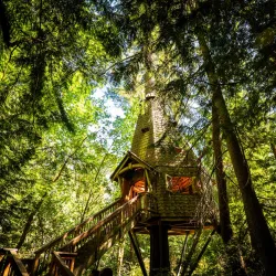 IslandWood - Bainbridge Island