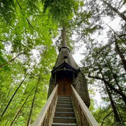 IslandWood - Bainbridge Island