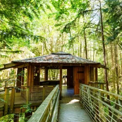 IslandWood - Bainbridge Island