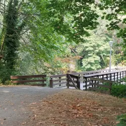 Winslow Waterfront Park - Bainbridge Island