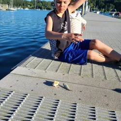 Winslow Waterfront Park - Bainbridge Island