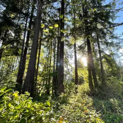 Winslow Waterfront Park - Bainbridge Island