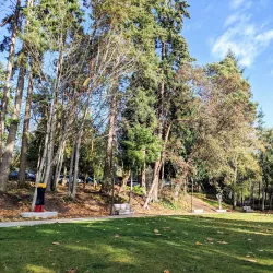 Winslow Waterfront Park - Bainbridge Island