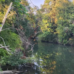 Winslow Waterfront Park - Bainbridge Island
