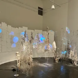 Bellevue Arts Museum - Bellevue