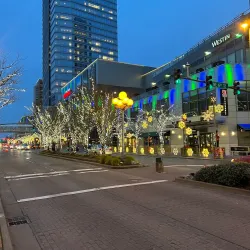 Bellevue Arts Museum - Bellevue