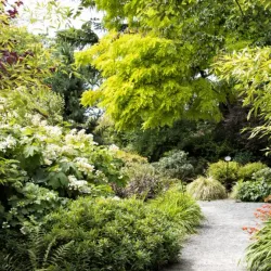 Bellevue Botanical Garden - Bellevue