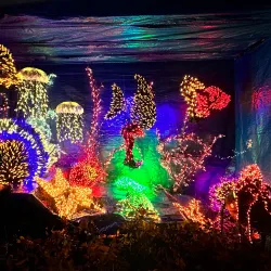 Bellevue Botanical Garden - Bellevue