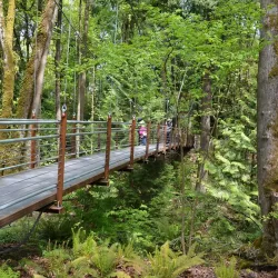 Bellevue Botanical Garden - Bellevue