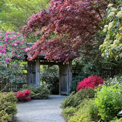 Bellevue Botanical Garden - Bellevue