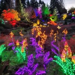 Bellevue Botanical Garden - Bellevue