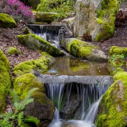 Bellevue Botanical Garden - Bellevue