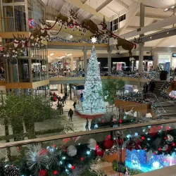 Bellevue Square - Bellevue