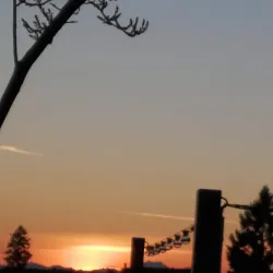 Bellevue Square - Bellevue