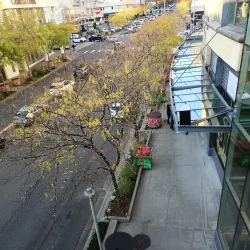 Bellevue Square - Bellevue