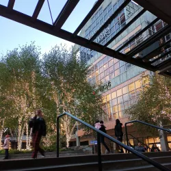 Bellevue Square - Bellevue