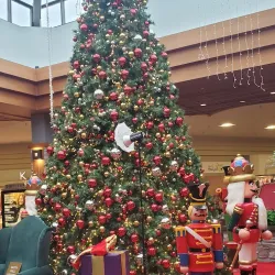 Bellevue Square - Bellevue