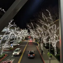 Bellevue Square - Bellevue