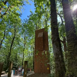 Bellevue Zip Tour - Bellevue