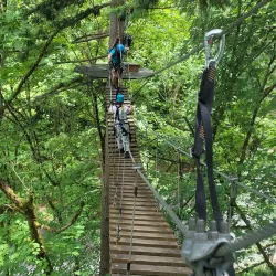 Bellevue Zip Tour - Bellevue