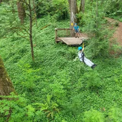 Bellevue Zip Tour - Bellevue