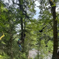 Bellevue Zip Tour - Bellevue