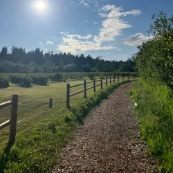 Mercer Slough Nature Park - Bellevue