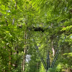 Mercer Slough Nature Park - Bellevue