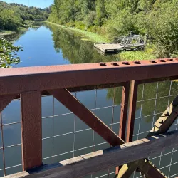 Mercer Slough Nature Park - Bellevue