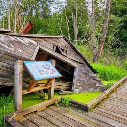 Mercer Slough Nature Park - Bellevue