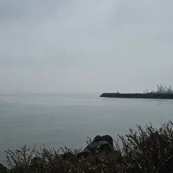 Bellingham Waterfront Trail - Bellingham