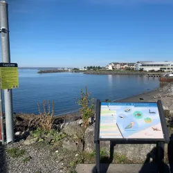 Bellingham Waterfront Trail - Bellingham