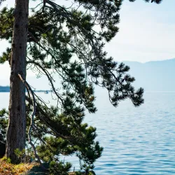 Chuckanut Drive - Bellingham