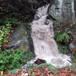 Chuckanut Drive - Bellingham