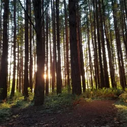Lake Padden Park - Bellingham