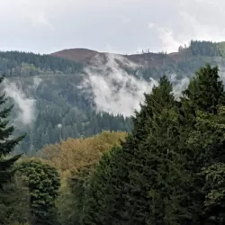 Lake Padden Park - Bellingham