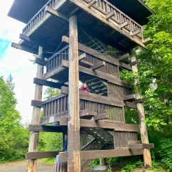 Sehome Hill Arboretum - Bellingham