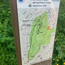 Sehome Hill Arboretum - Bellingham