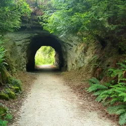 Sehome Hill Arboretum - Bellingham