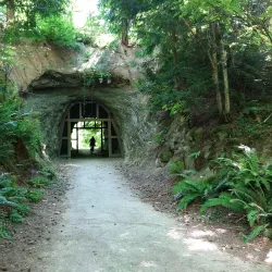 Sehome Hill Arboretum - Bellingham