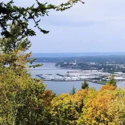 Sehome Hill Arboretum - Bellingham