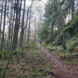 Sehome Hill Arboretum - Bellingham