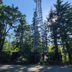 Sehome Hill Arboretum - Bellingham